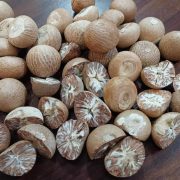 Areca Nuts