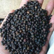 Black Pepper