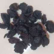 Garcinia Cambogia