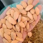 Almonds/Badam
