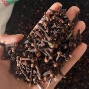 Clove