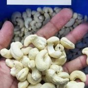 W320 Cashew Nuts